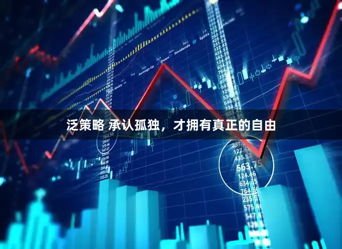 泛策略 承认孤独，才拥有真正的自由