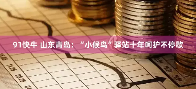 91快牛 山东青岛：“小候鸟”驿站十年呵护不停歇